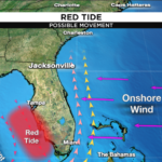 Red Tide Florida 2023
